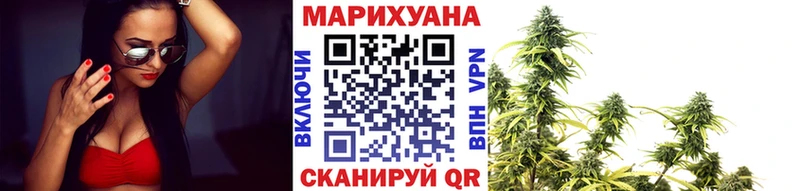 Шишки марихуана марихуана  купить   Стародуб 